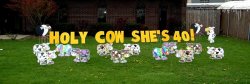 Cows Gone Wild Happy Birthday Yard Greeting