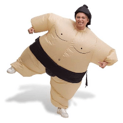 Sumo Wrestling