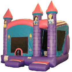 Princess Castle Combo