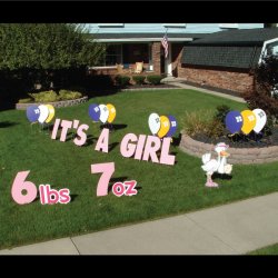 It's A Girl Yard Greeting