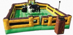 Mechanical Bull